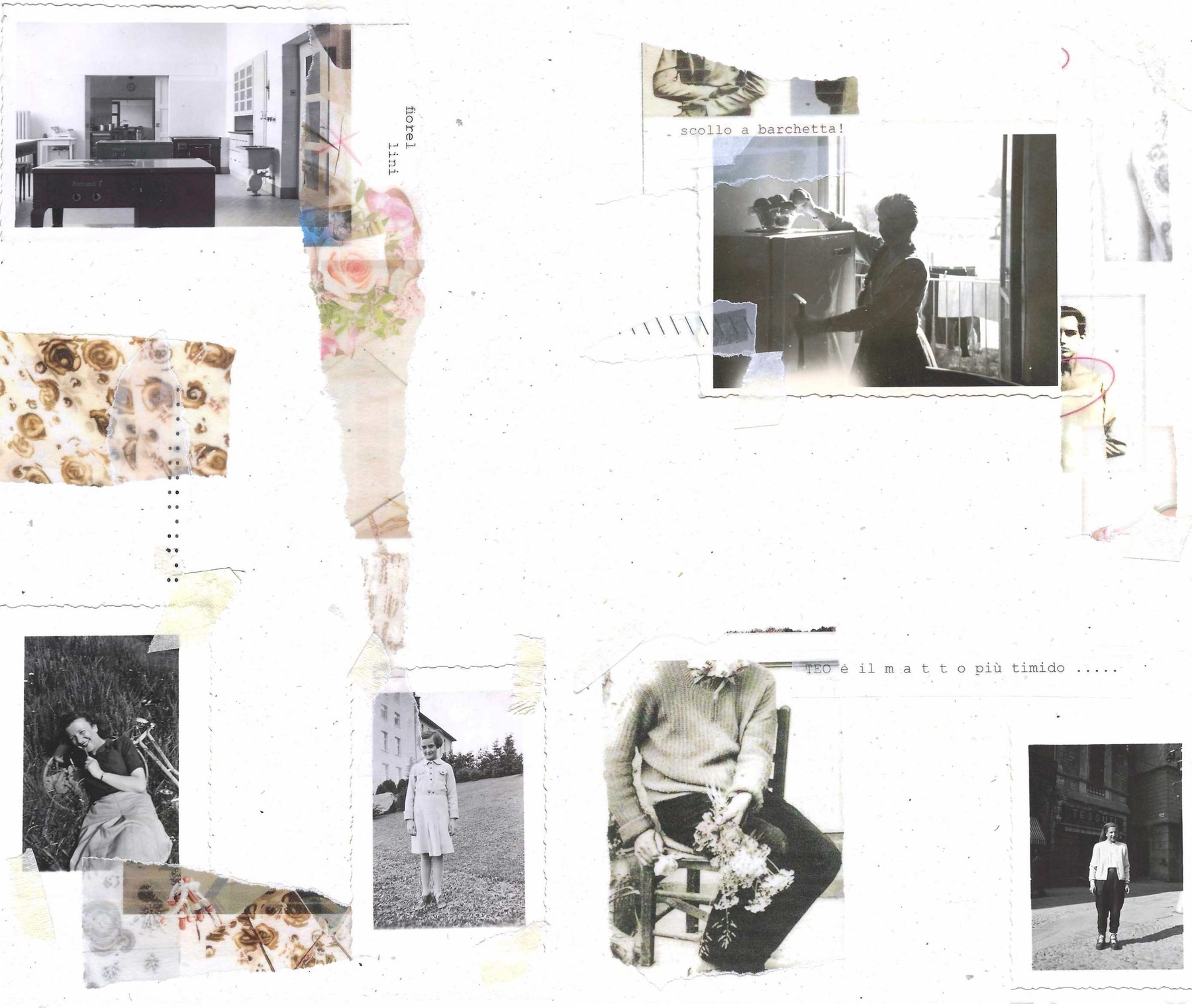 Alice Altea Molteni — tavola 14