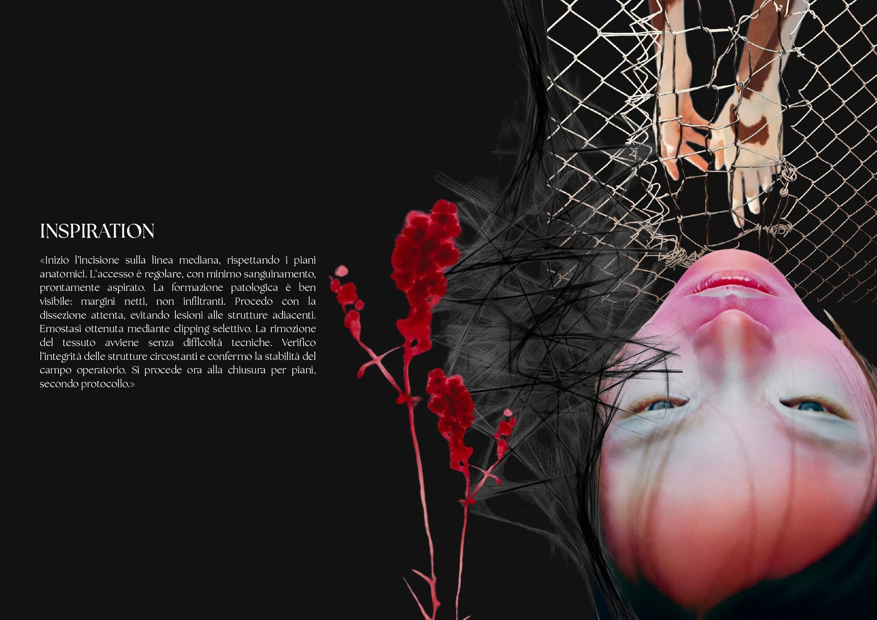 Amanda Berti — tavola 5