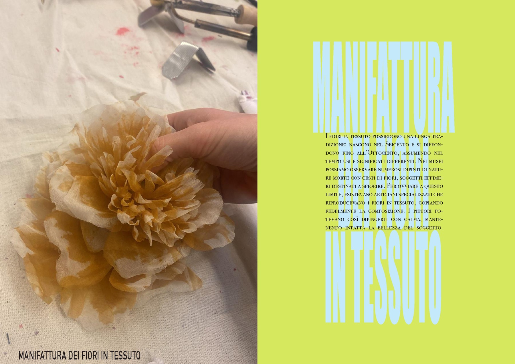 Anna  Bettoli — tavola 20