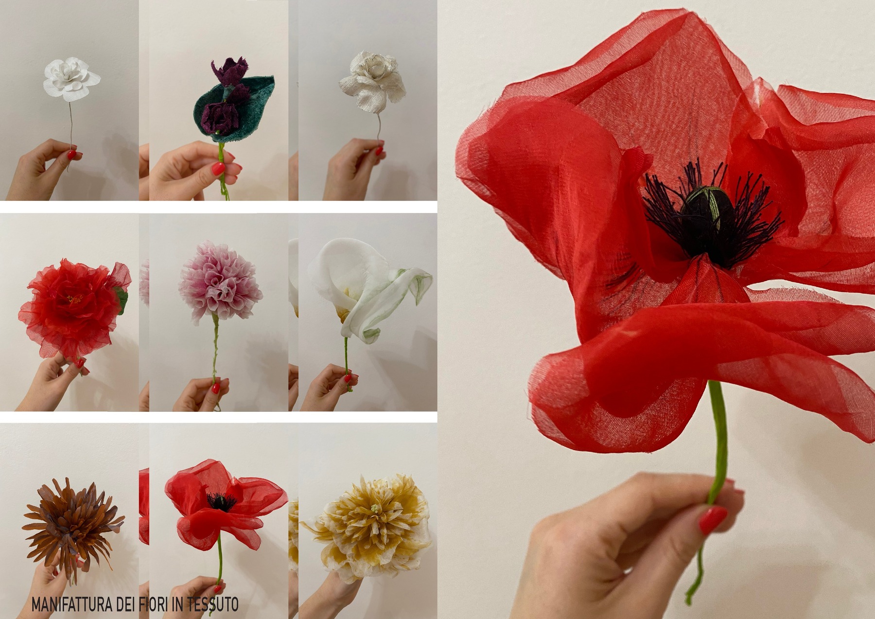Anna  Bettoli — tavola 21