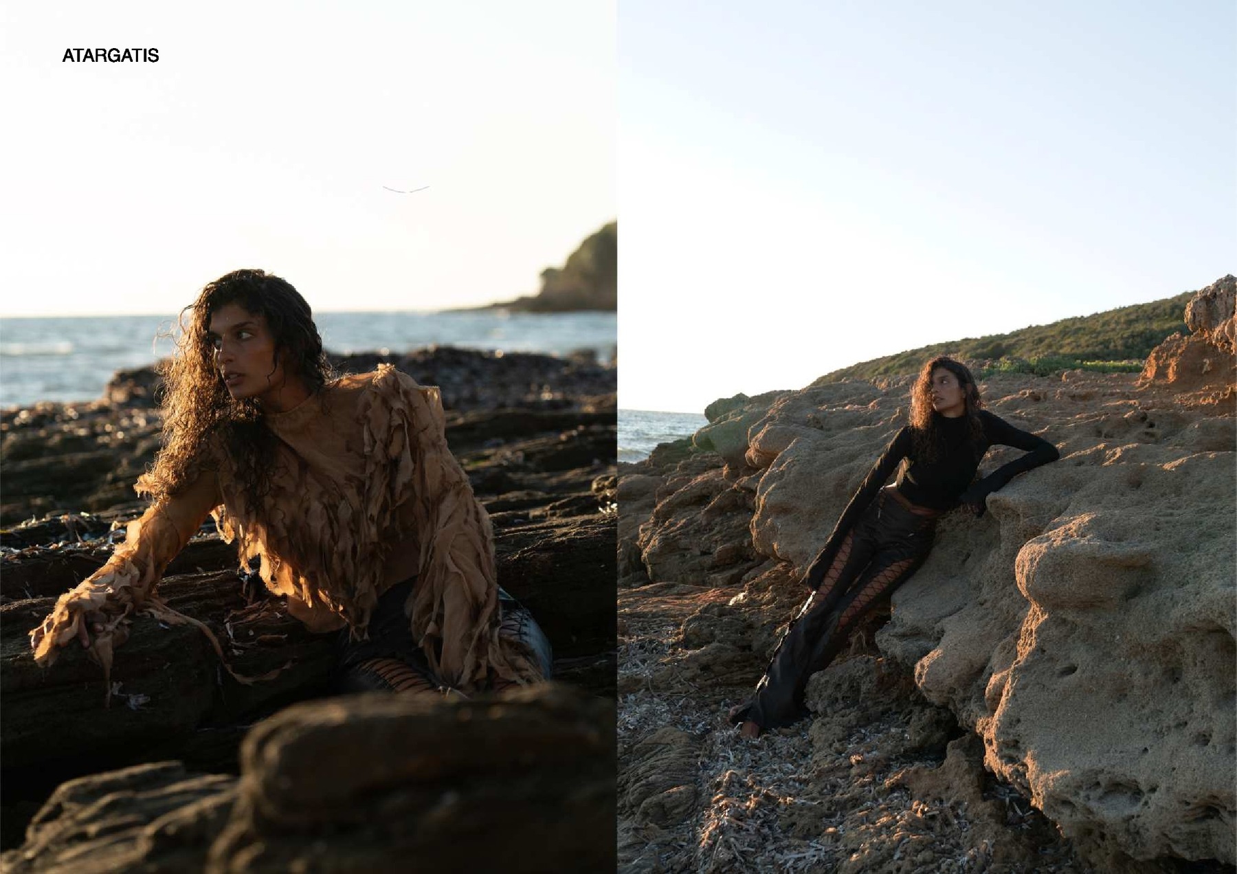 Asia Angiovini — tavola 19