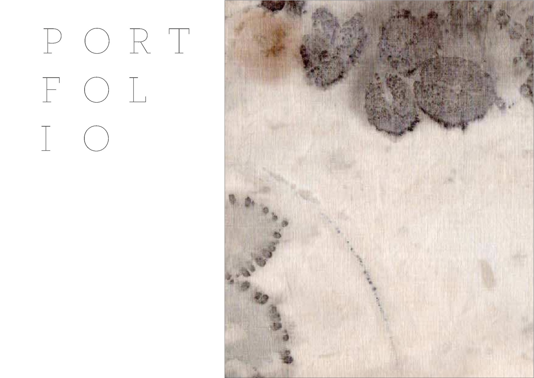 Camilla Balzarotti — tavola 1