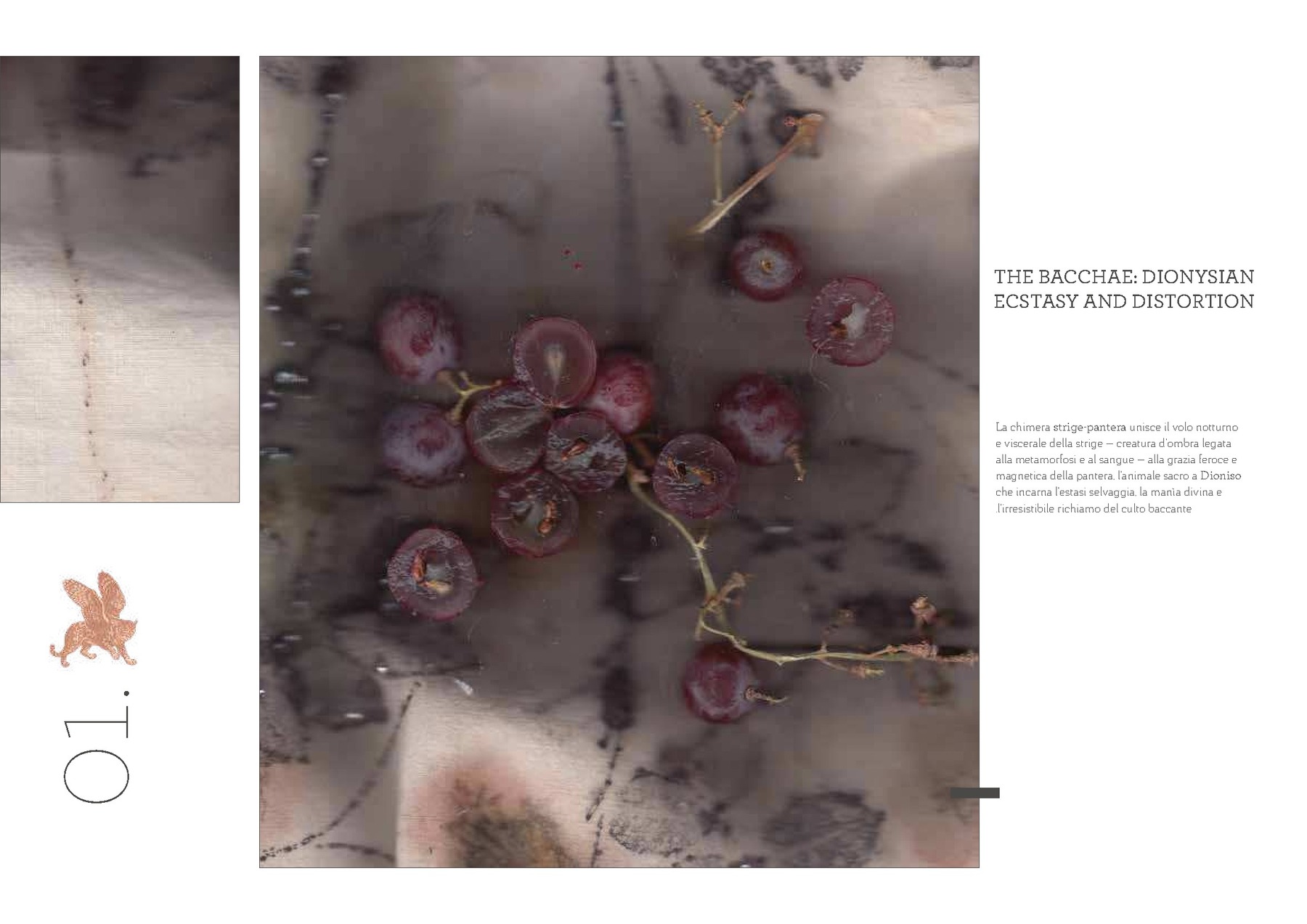 Camilla Balzarotti — tavola 4