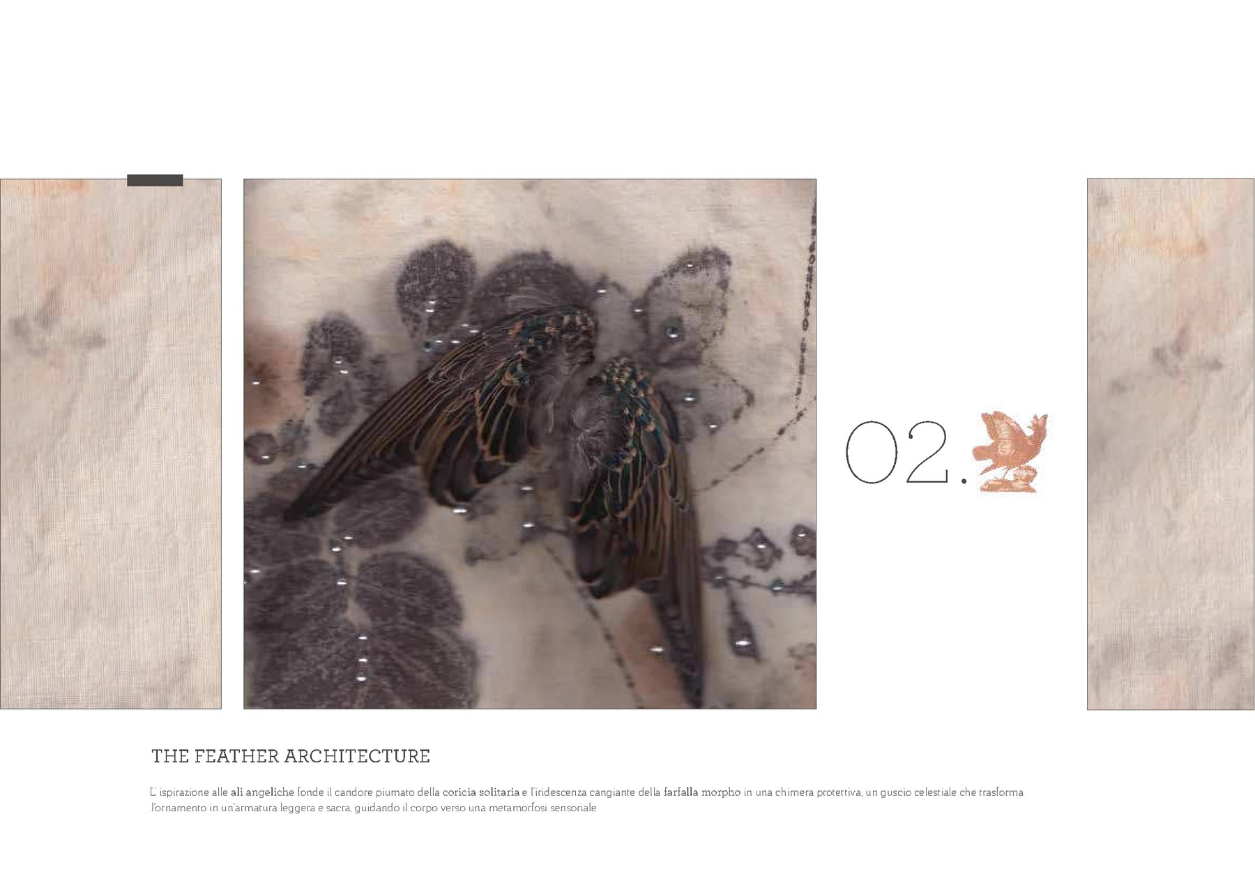 Camilla Balzarotti — tavola 13