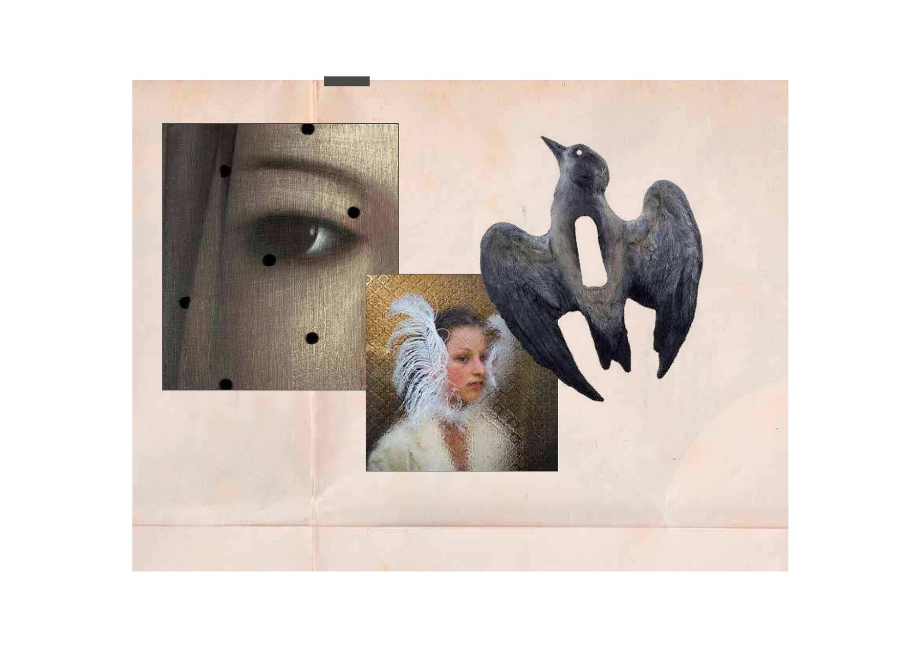 Camilla Balzarotti — tavola 14