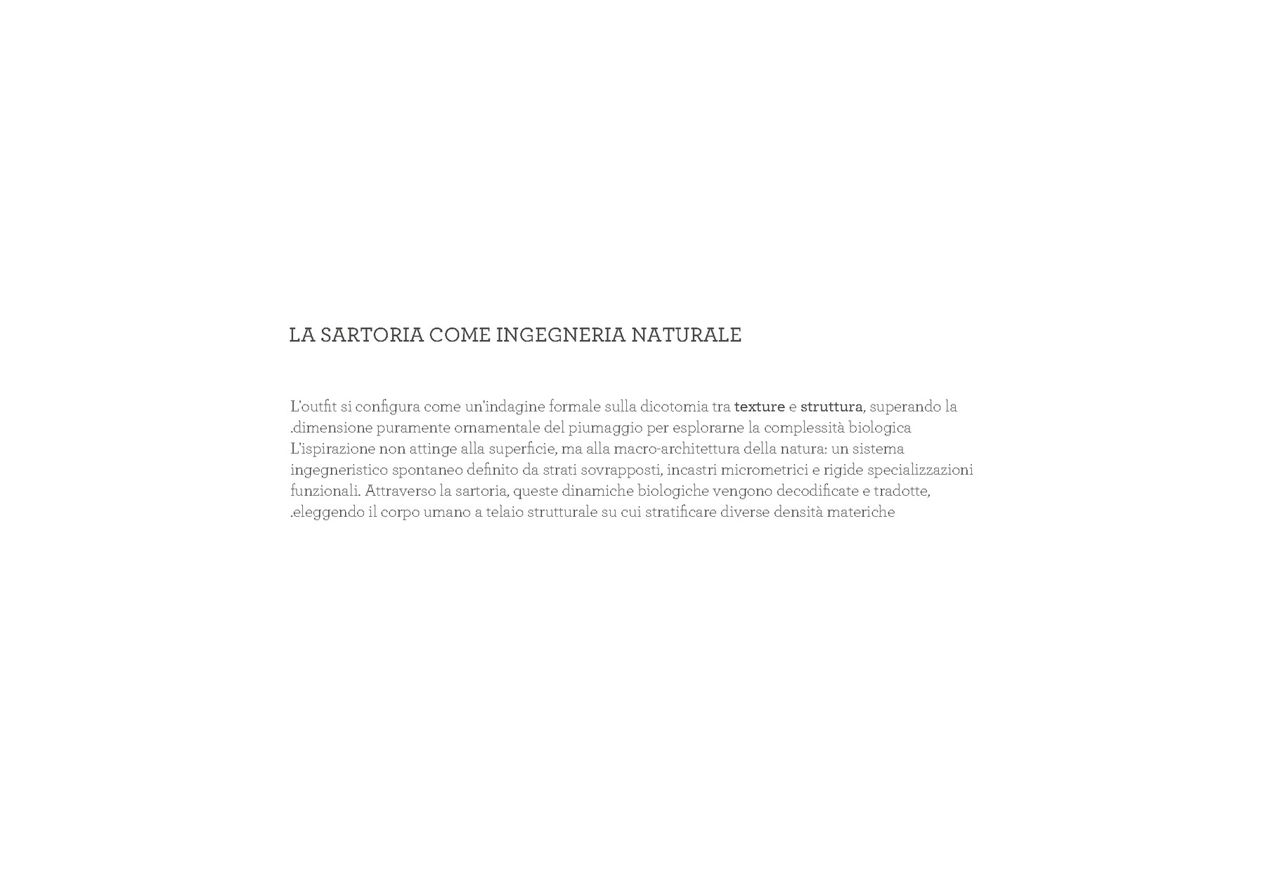 Camilla Balzarotti — tavola 15