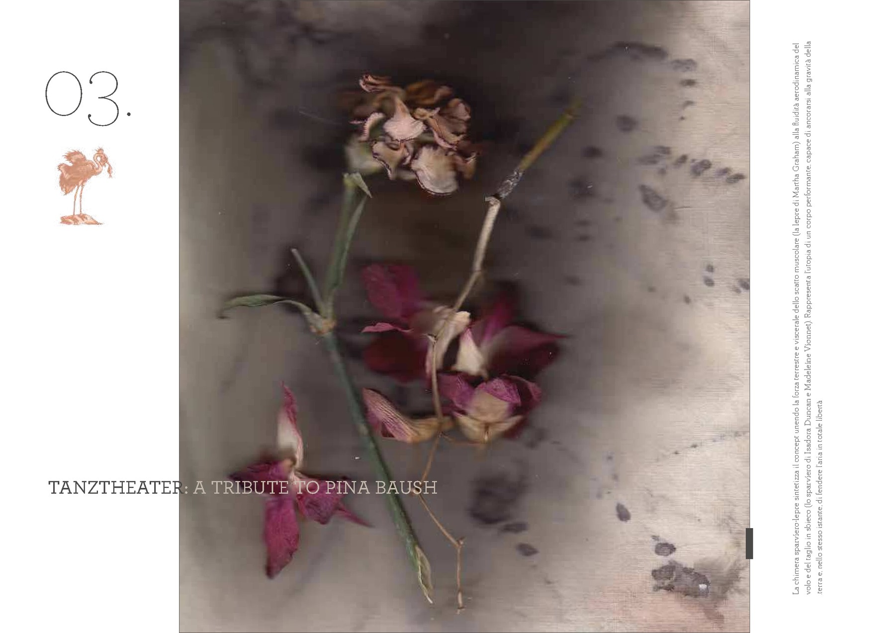 Camilla Balzarotti — tavola 18