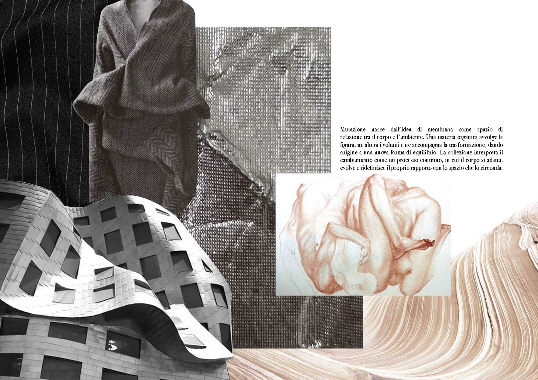 Eleonora Arrivabene — tavola 2
