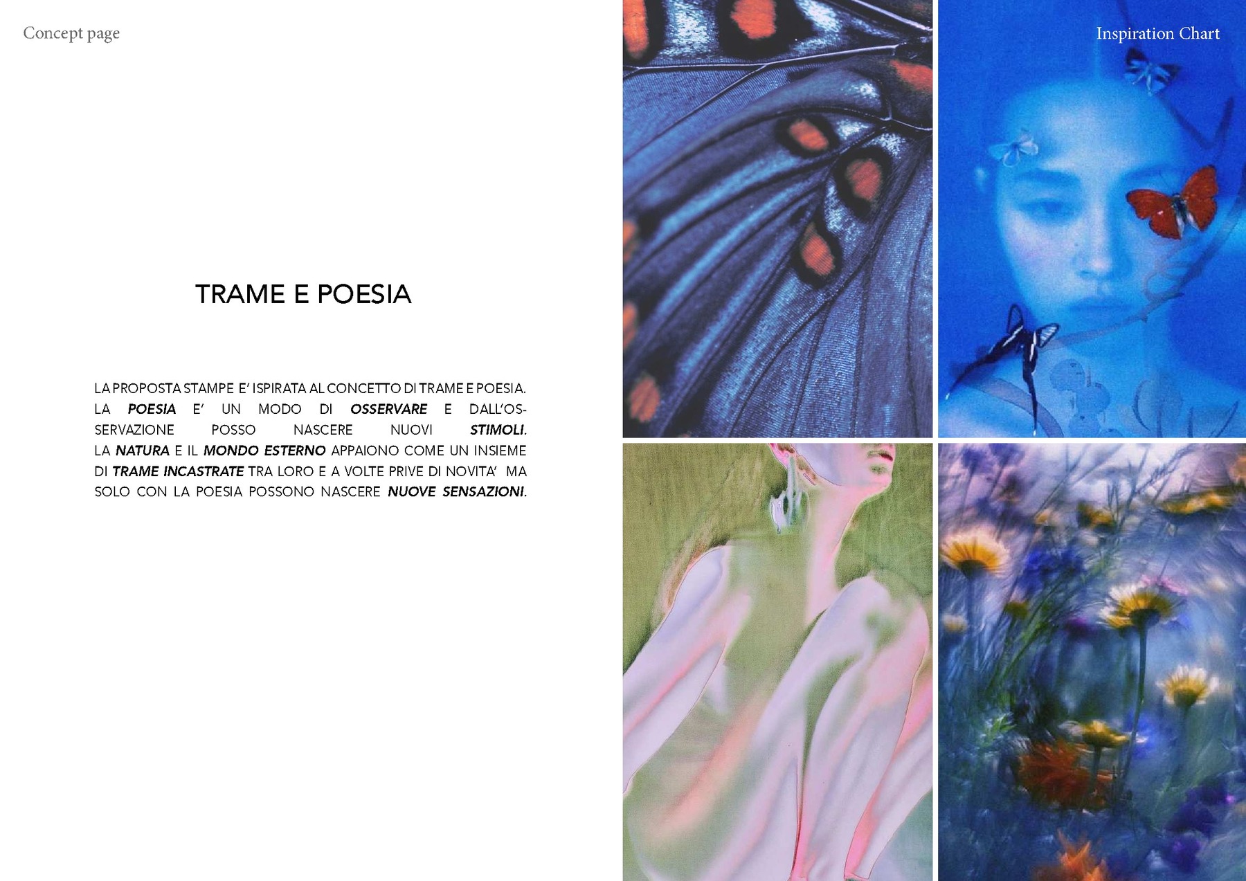 Iolanda Bandini — tavola 20