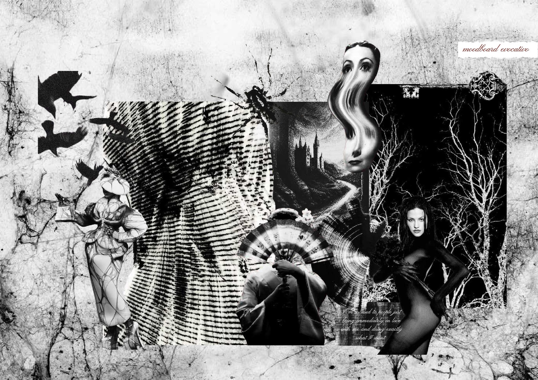 Iris Balla — tavola 12