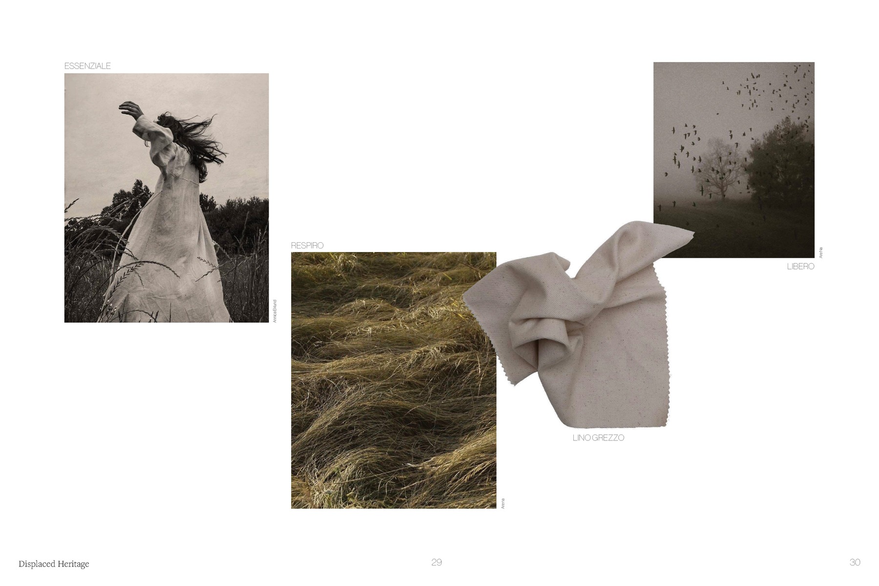 Lara Ardito — tavola 15