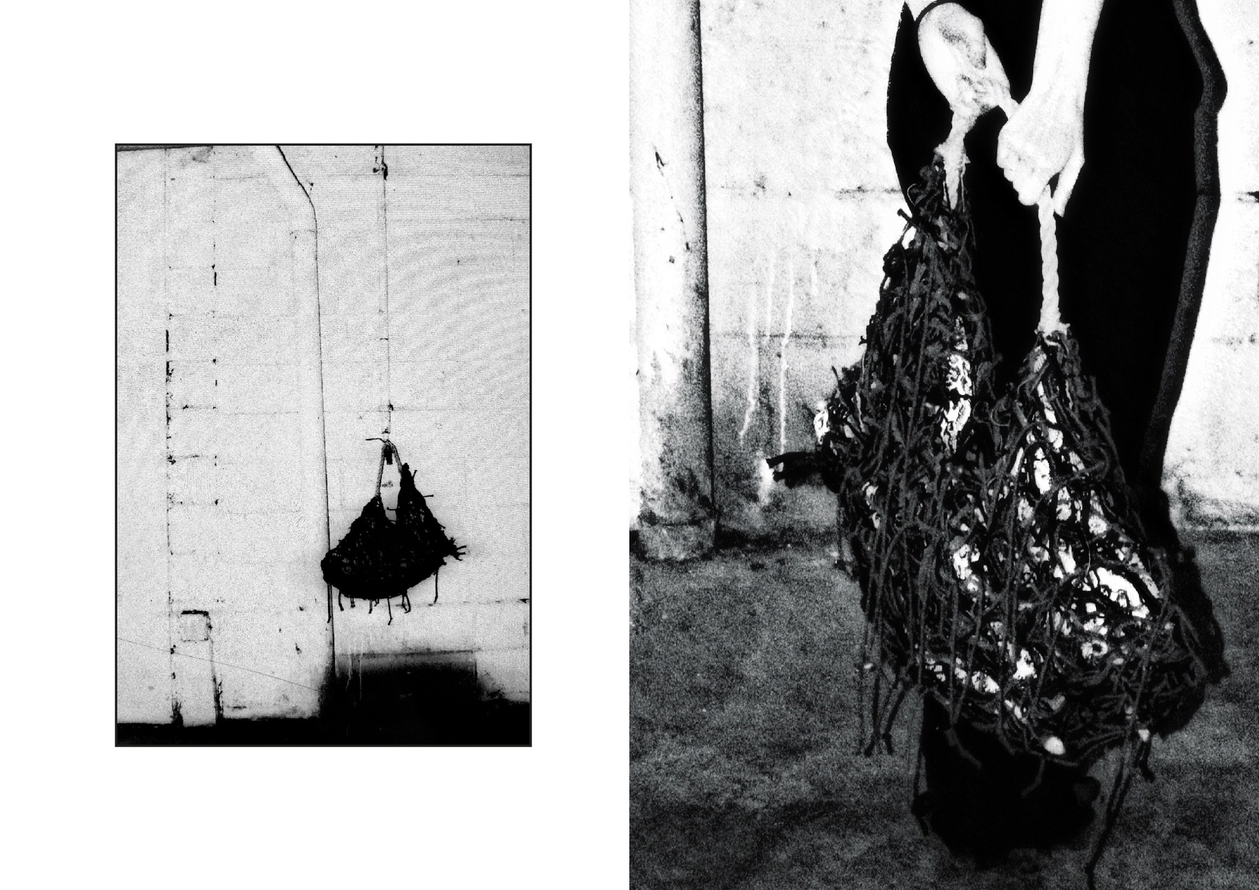 Milena Albanese — tavola 17