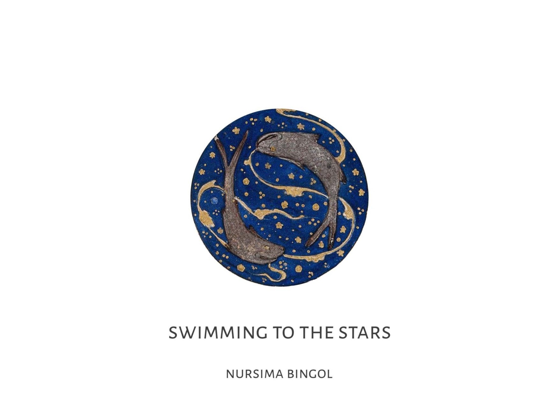 Nursima Bingol — tavola 14