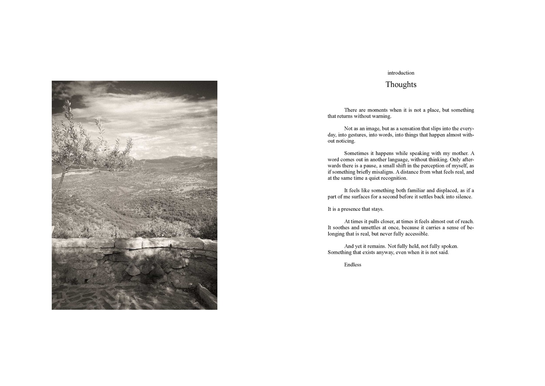 Ottilia Anna Paesani — tavola 2