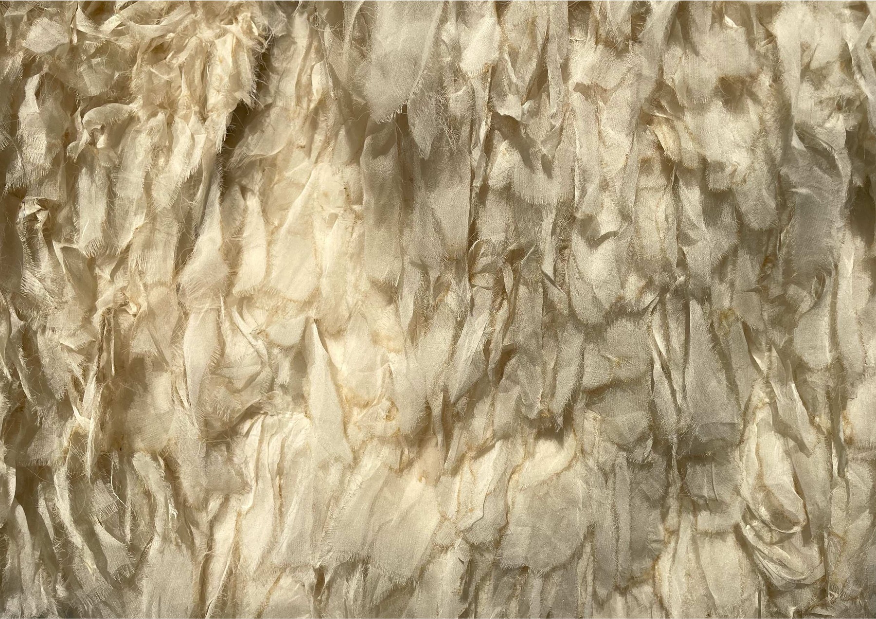 Ottilia Anna Paesani — tavola 6