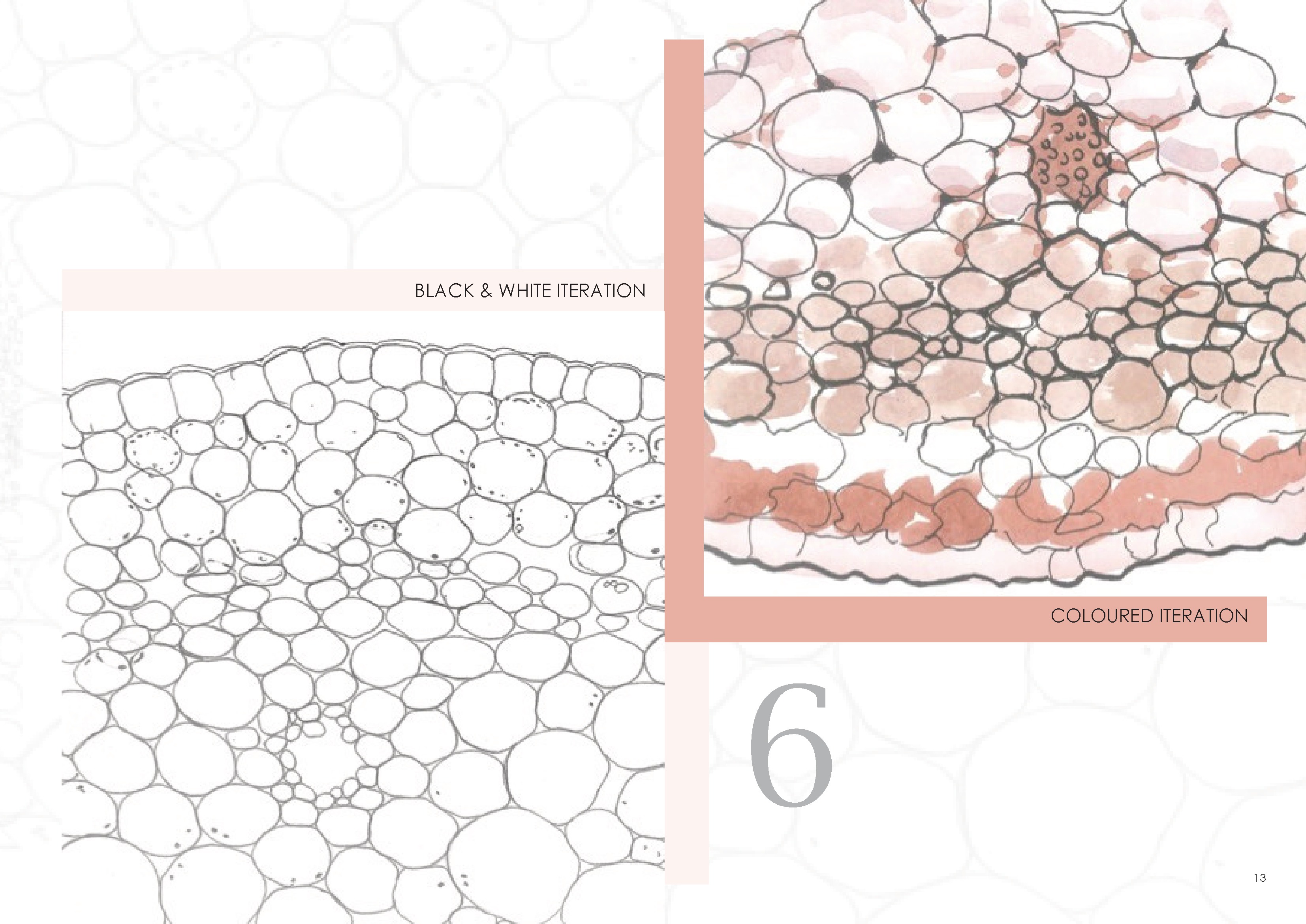 Vanshika Agarwal — tavola 13