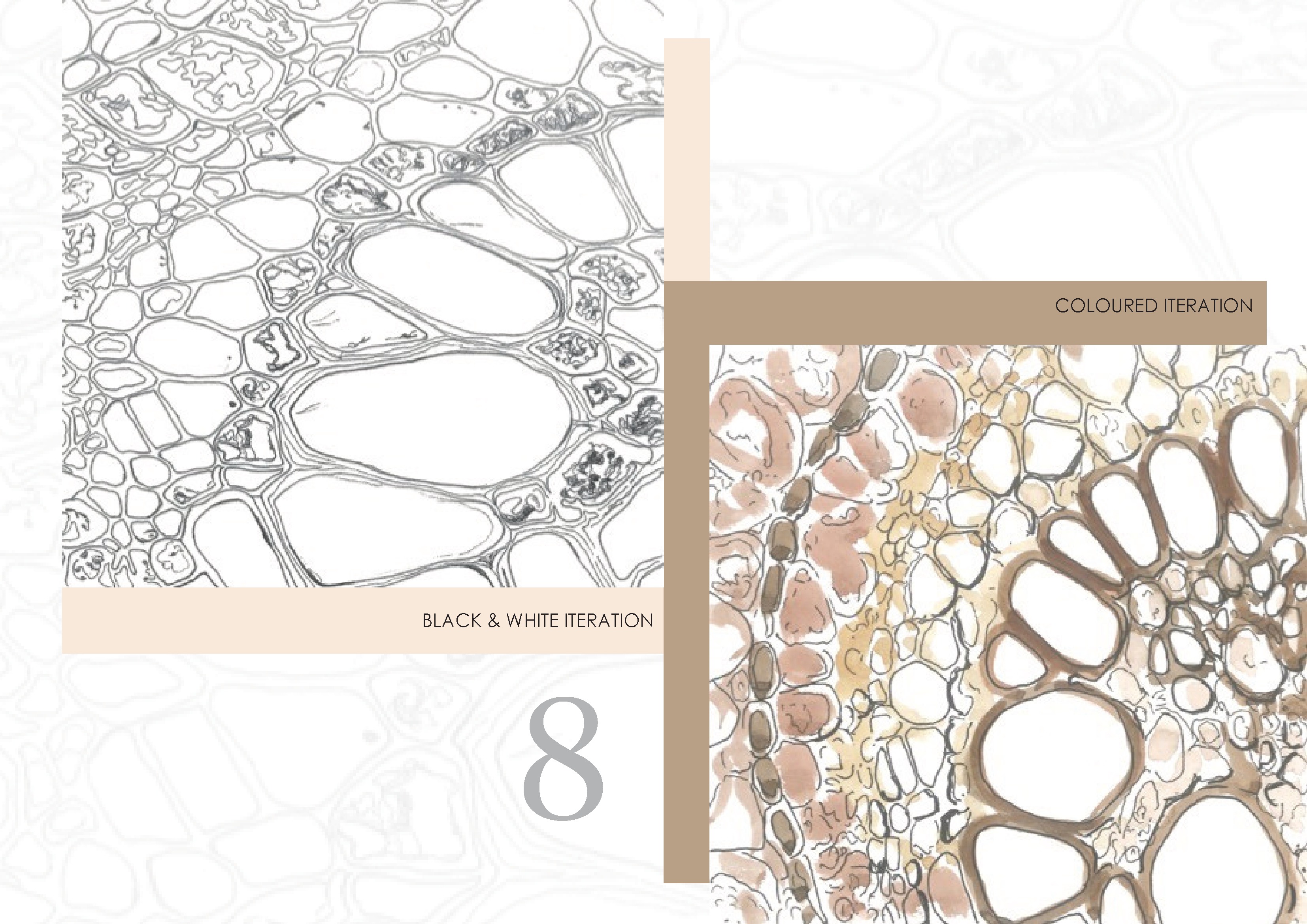 Vanshika Agarwal — tavola 15