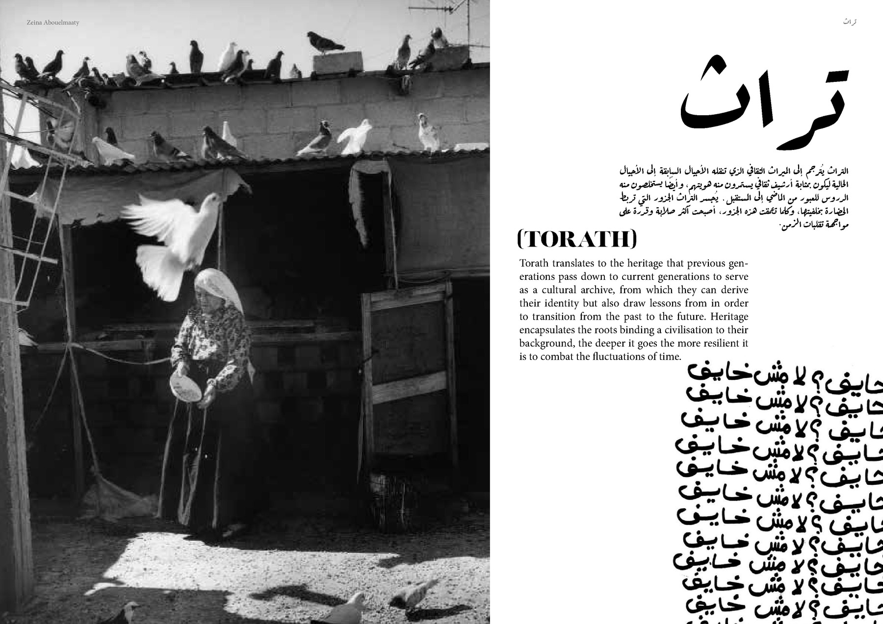 Zeina Abouelmaaty — tavola 3